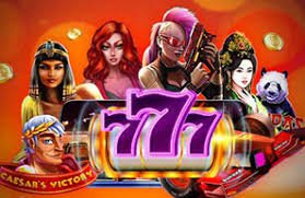 bet567